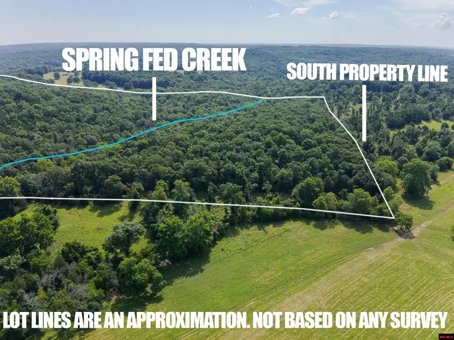 13-0.4-20-000-0 CR 544, Caulfield, MO 65626 - Image #2