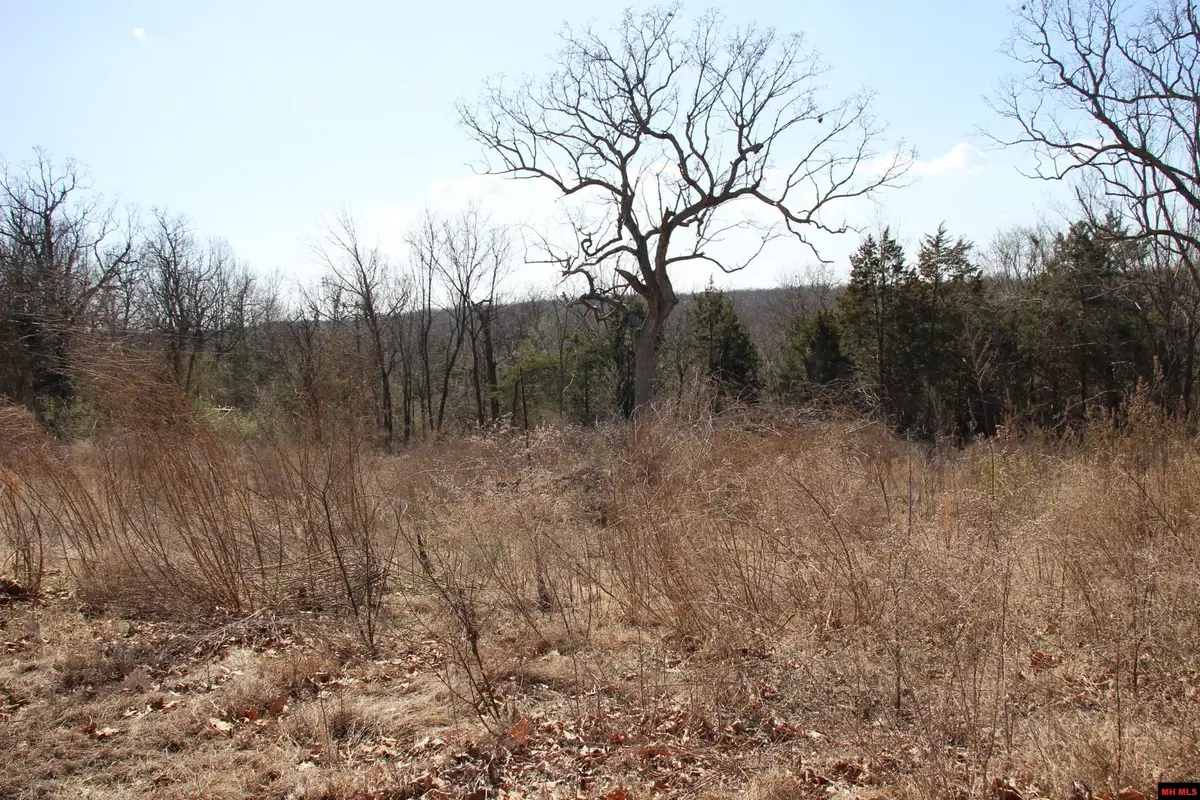 Lot 1 KINGSBERRY DRIVE, Mountain Home, AR 72653 - Image #1