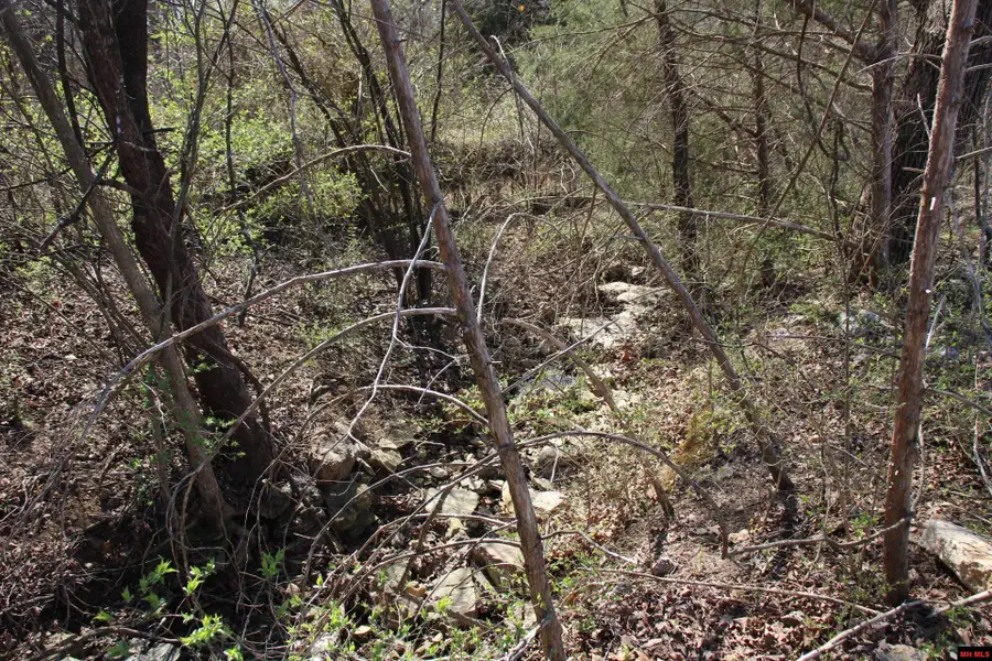 Lot 1 KINGSBERRY DRIVE, Mountain Home, AR 72653 - Image #2