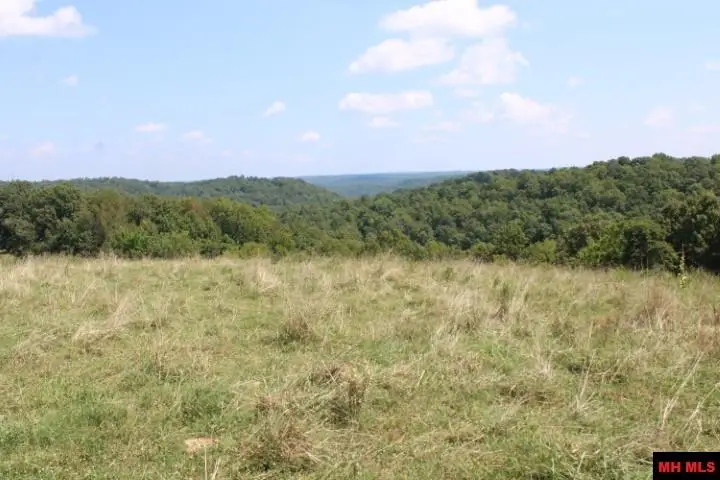 416 NEW HOPE ROAD, Marshall, AR 72650 - Image #2