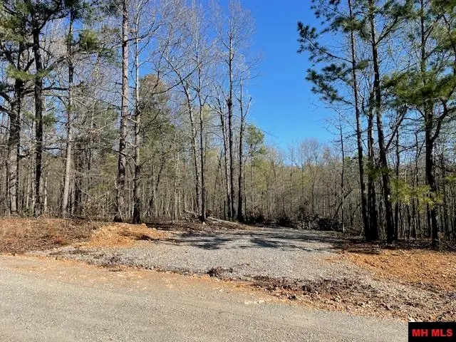 60 MC 6047, Yellville, AR 72687 - Image #3