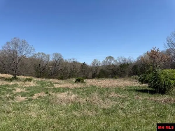 002-11074-107 BASSWOOD DRIVE, Mountain Home, AR 72653