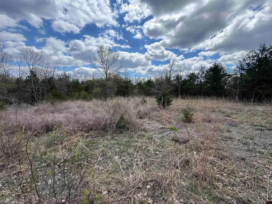 001-07445-013 CR 1423, Mountain Home, AR 72653 - Image #2