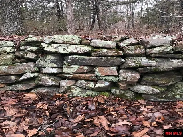 001-05060-008 ZONE RIDGE LANE, Yellville, AR 72687 - #3