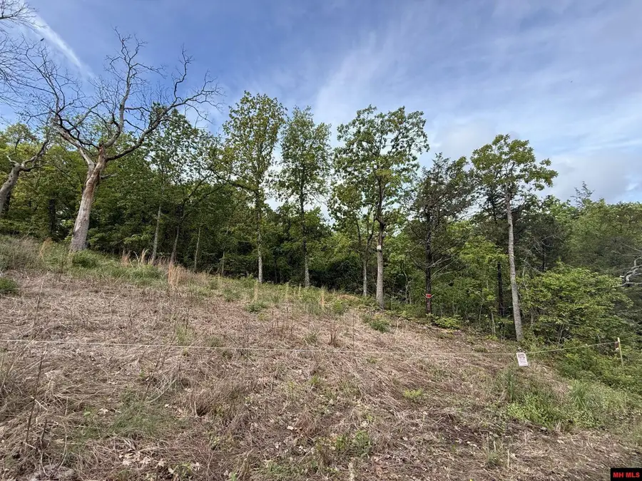 002-07477-000 MILLER DRIVE, Henderson, AR 72653 - Image #3