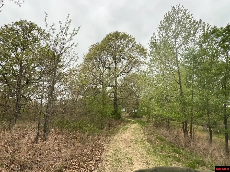 1703050002007 STATE HWY D, Thornfield, MO 65762 - Image #2