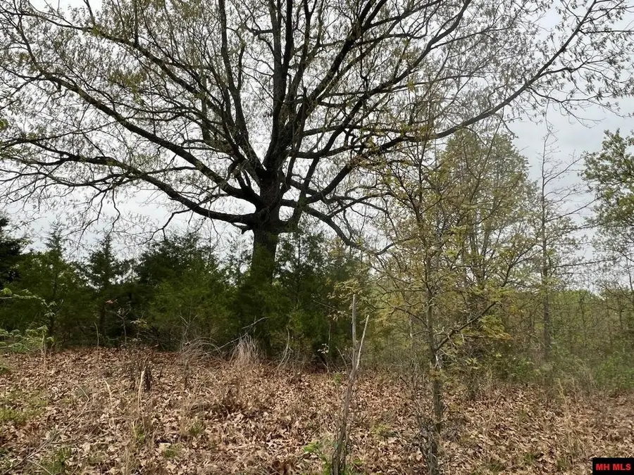 1703050002007 STATE HWY D, Thornfield, MO 65762 - Image #3