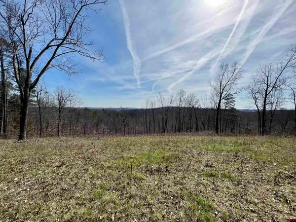 Tract 4 RAMBLEWOOD TRAIL, Yellville, AR 72687