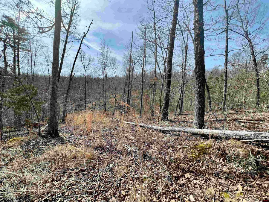 Tract 4 RAMBLEWOOD TRAIL, Yellville, AR 72687 - Image #3