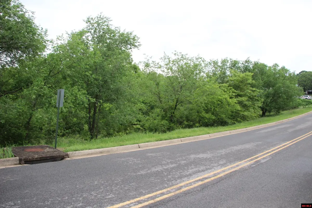 Lots 13-16 BROADWAY, Yellville, AR 72687 - #1