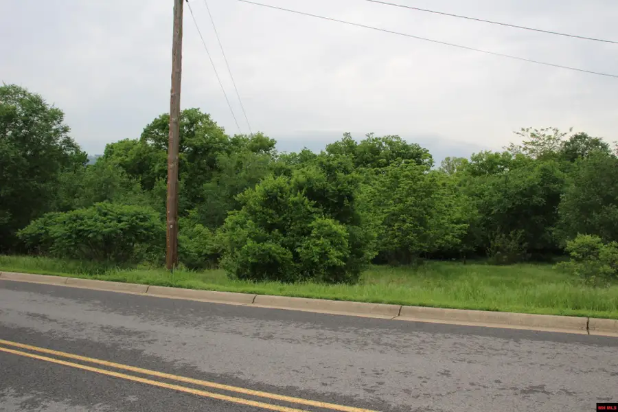 Lots 13-16 BROADWAY, Yellville, AR 72687 - #3