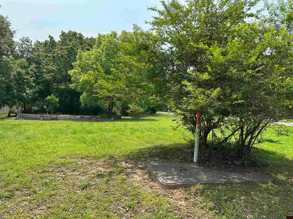 320 HAZELWOOD DRIVE, Diamond City, AR 72630