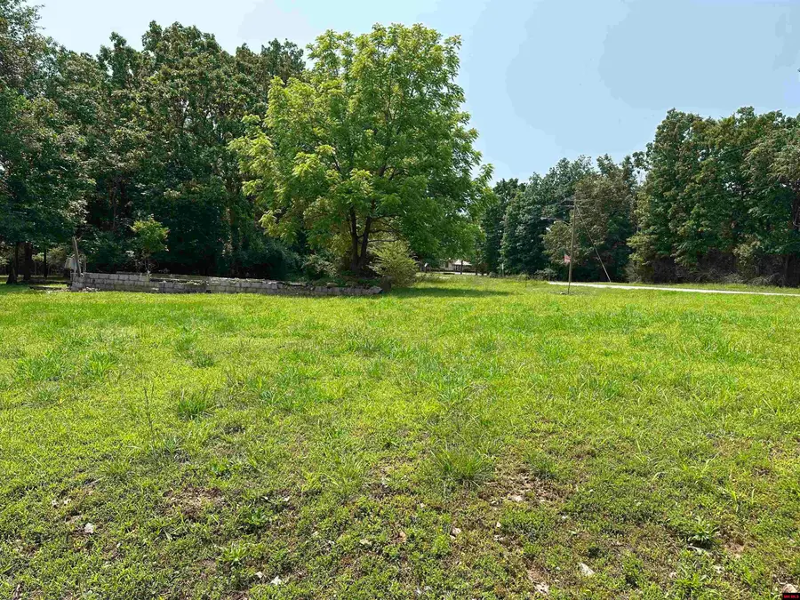 320 HAZELWOOD DRIVE, Diamond City, AR 72630 - Image #3