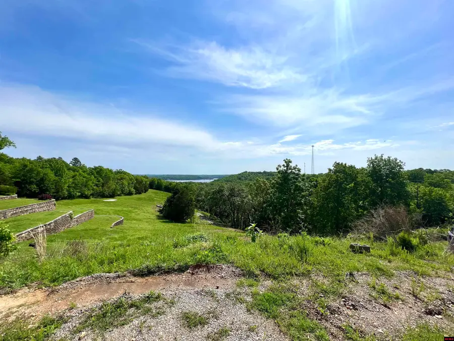 00211140003 DIAMOND GEM PLACE, Mountain Home, AR 72653 - Image #2