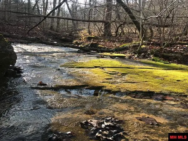 001-05060-008 ZONE RIDGE LANE, Yellville, AR 72687