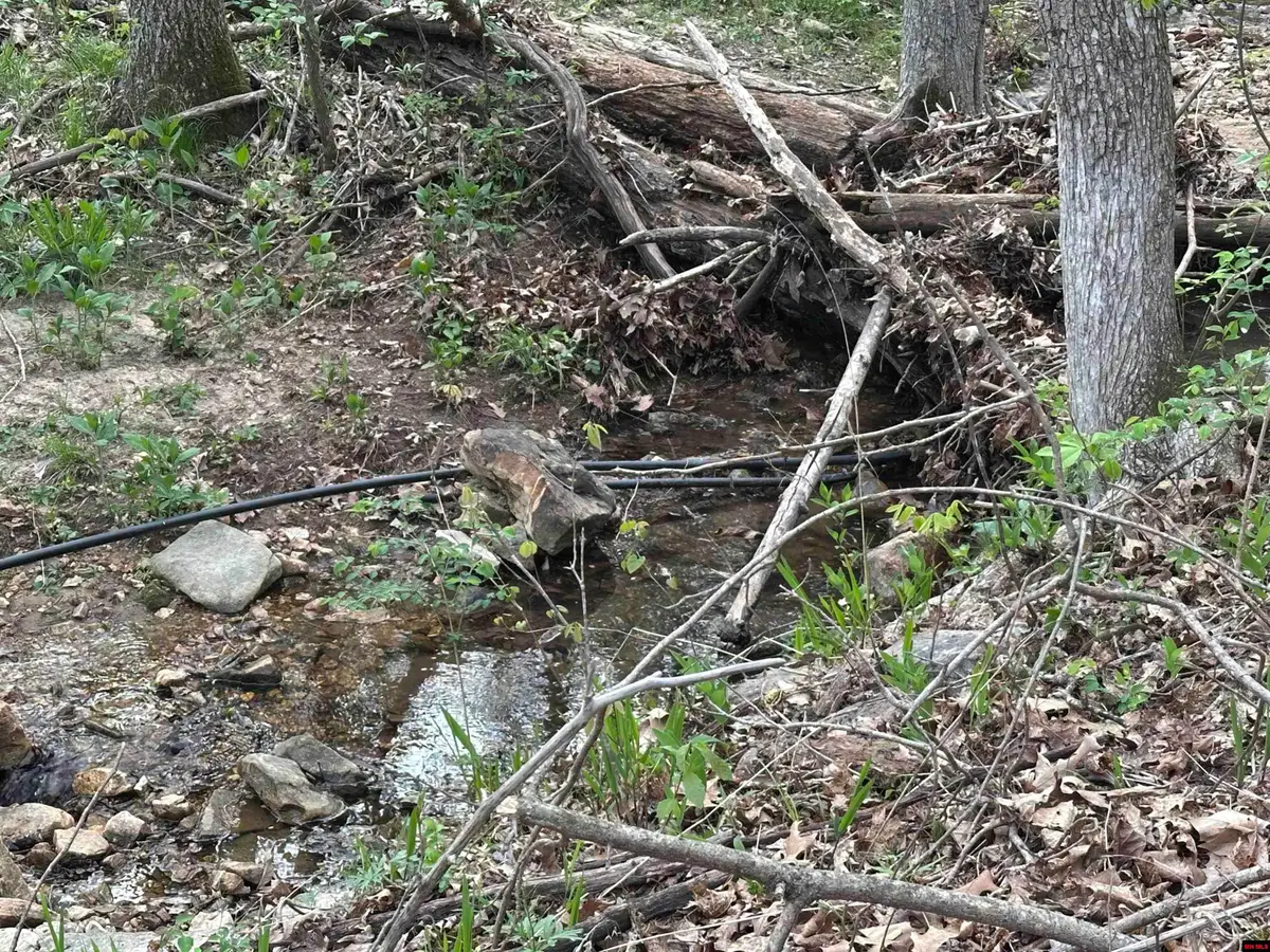 188 OREGON TRAIL, Pyatt, AR 72672 - Image #1