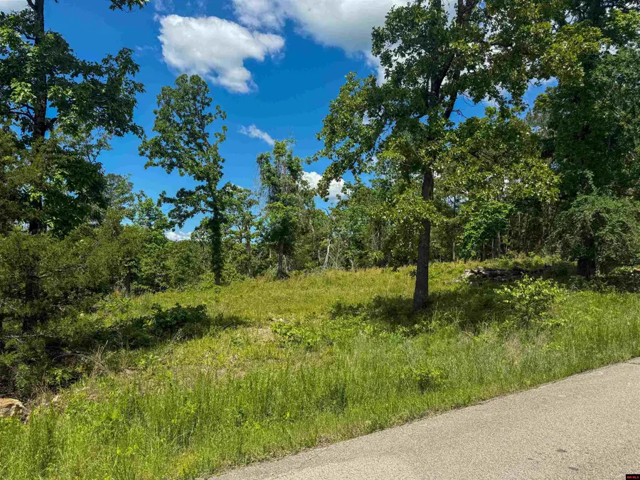 Lot 18 RUSTIC RIDGE DRIVE, Mountain Home, AR 72653 - Image #3