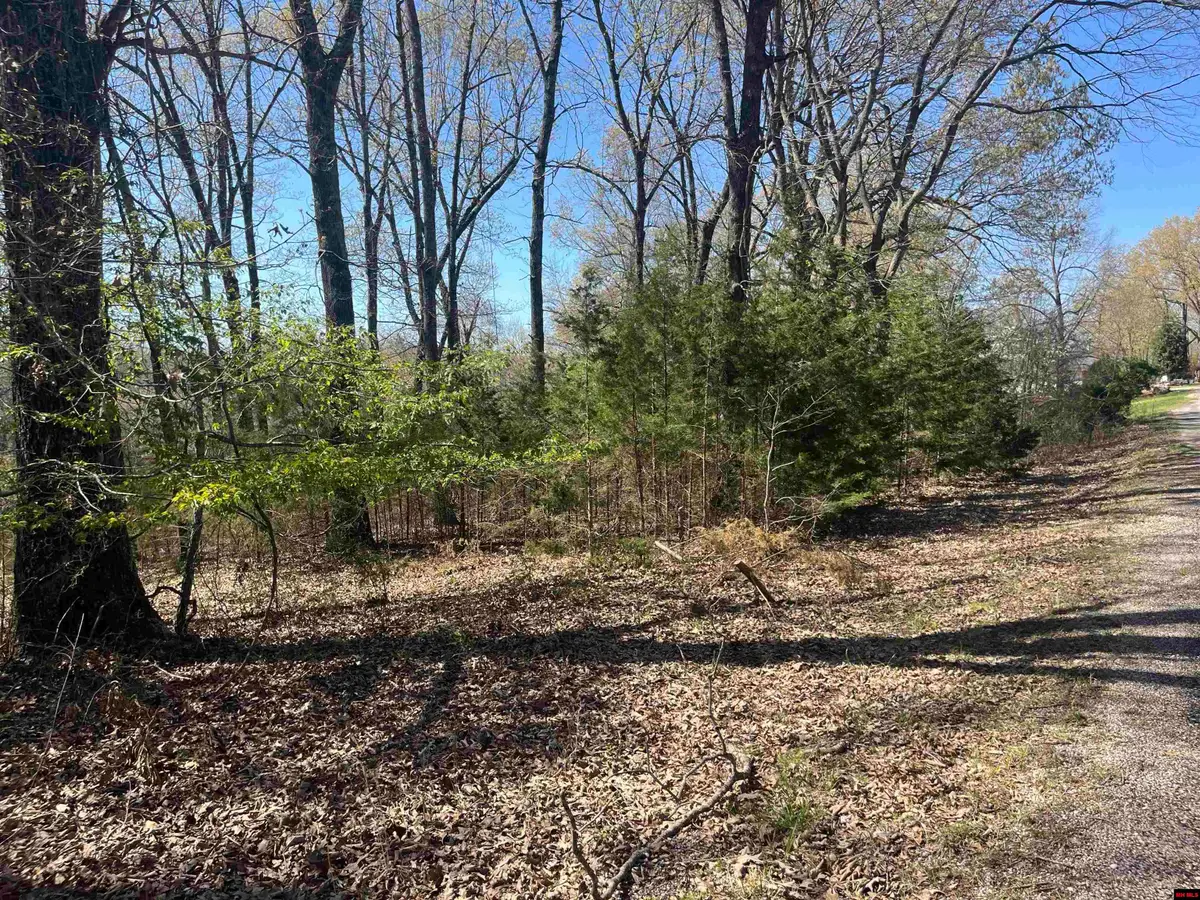 Lot 25 LAKEPOINTE DRIVE, Flippin, AR 72634 - Image #1