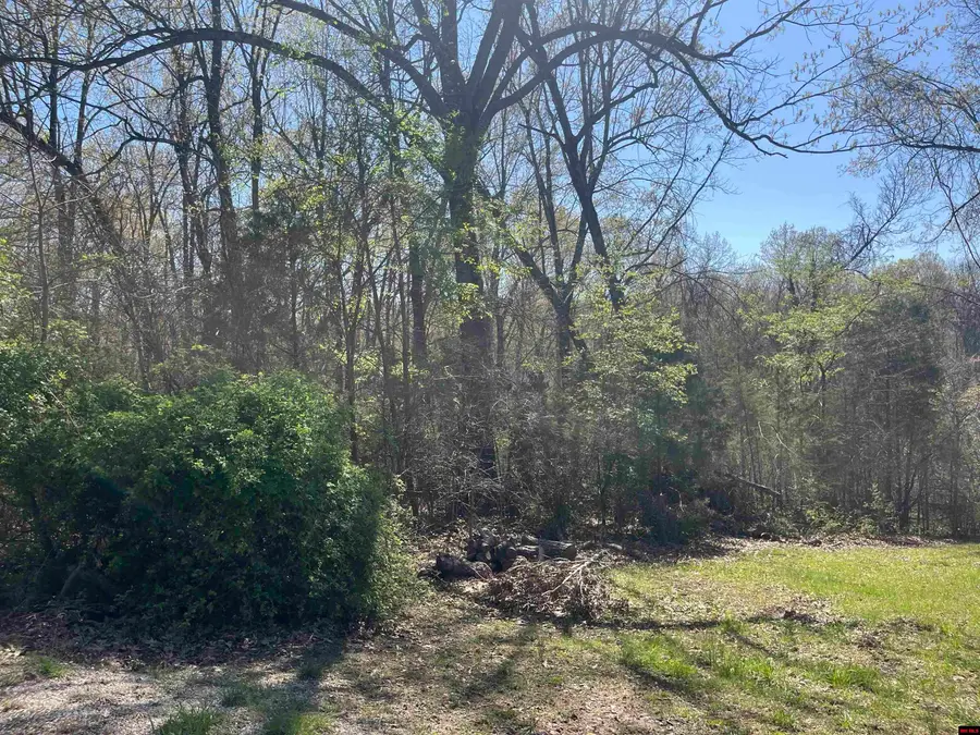 Lot 25 LAKEPOINTE DRIVE, Flippin, AR 72634 - Image #3