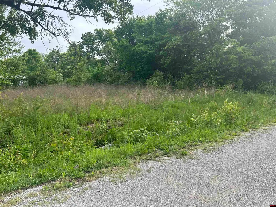 Lot 25 MEADOWDALE STREET, Mountain Home, AR 72653 - Image #3