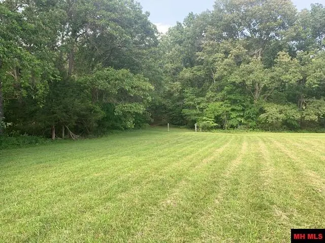 001-04806-002 COLONIAL LANE, Yellville, AR 72687 - Image #2