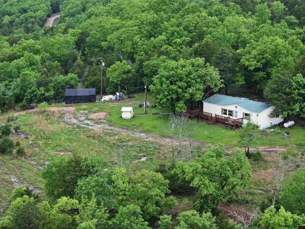 1427 MC 164, Theodosia, MO 65761