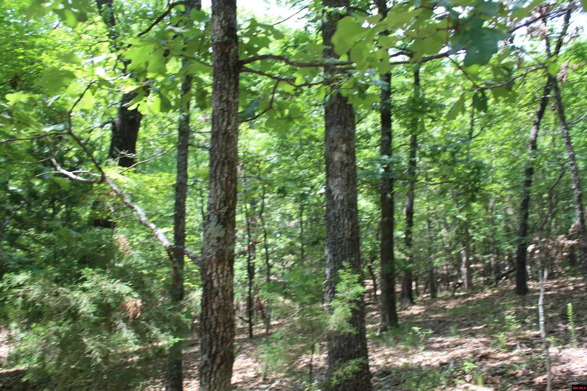 Lot 9B COUNTRY CLUB DRIVE, Theodosia, MO 65761 - Image #1