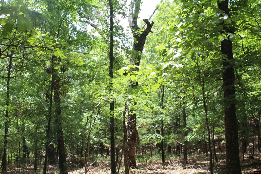 Lot 9B COUNTRY CLUB DRIVE, Theodosia, MO 65761 - Image #3