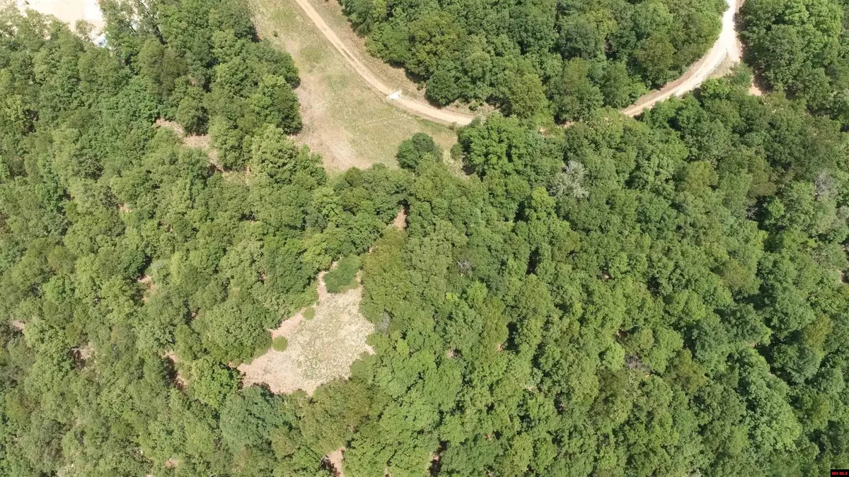 356-00041-000 LAKESHORE DRIVE, Protem, MO 65733 - Image #1