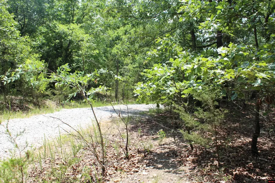 356-00041-000 LAKESHORE DRIVE, Protem, MO 65733 - Image #2