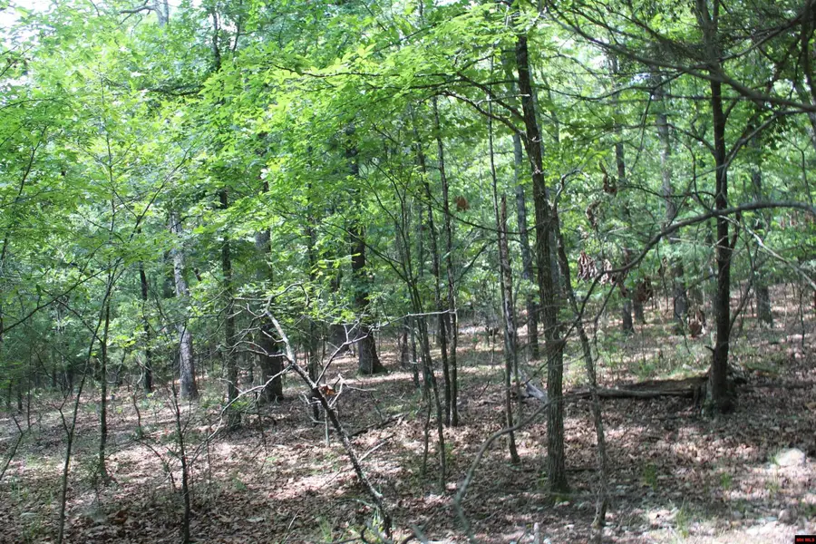 356-00041-000 LAKESHORE DRIVE, Protem, MO 65733 - Image #3