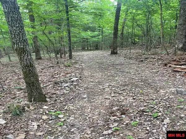 170 BELTLINE ROAD, Bull Shoals, AR 72619