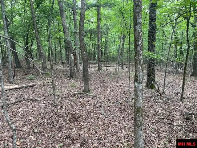 170 BELTLINE ROAD, Bull Shoals, AR 72619 - Image #3