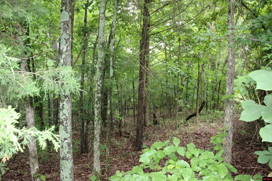 001-09520-000 HWY 178, Lakeview, AR 72642 - Image #2