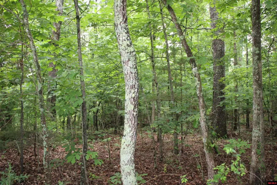 001-09520-000 HWY 178, Lakeview, AR 72642 - Image #3