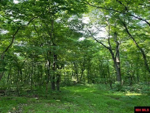 6518 TOMAHAWK CHURCH ROAD, Saint Joe, AR 72675 - Image #1