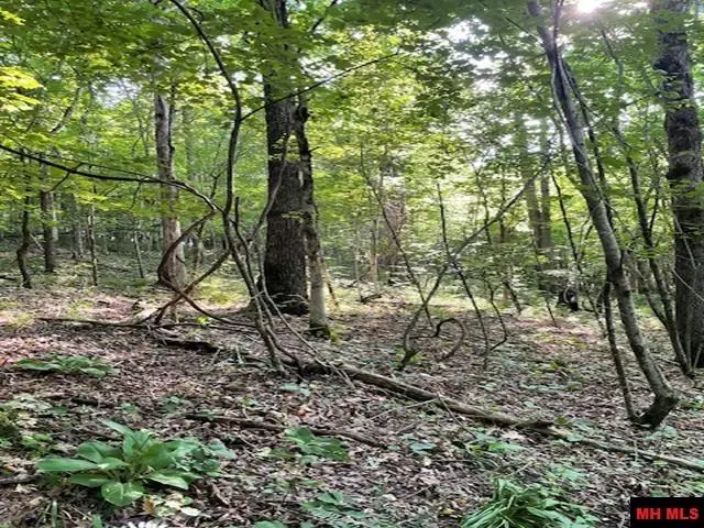 6518 TOMAHAWK CHURCH ROAD, Saint Joe, AR 72675 - Image #2