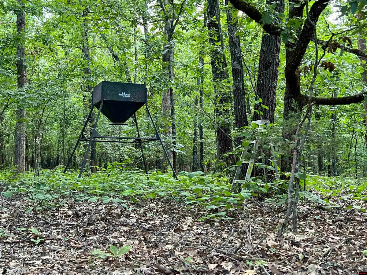 01635,01638,016 JORDAN ROAD, Norfork, AR 72658 - Image #1