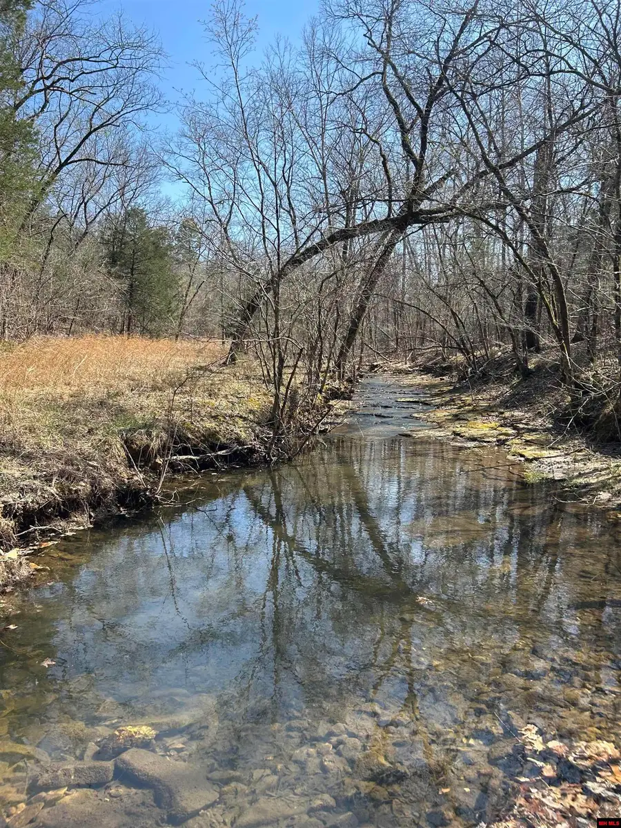 01635,01638,016 JORDAN ROAD, Norfork, AR 72658 - Image #3