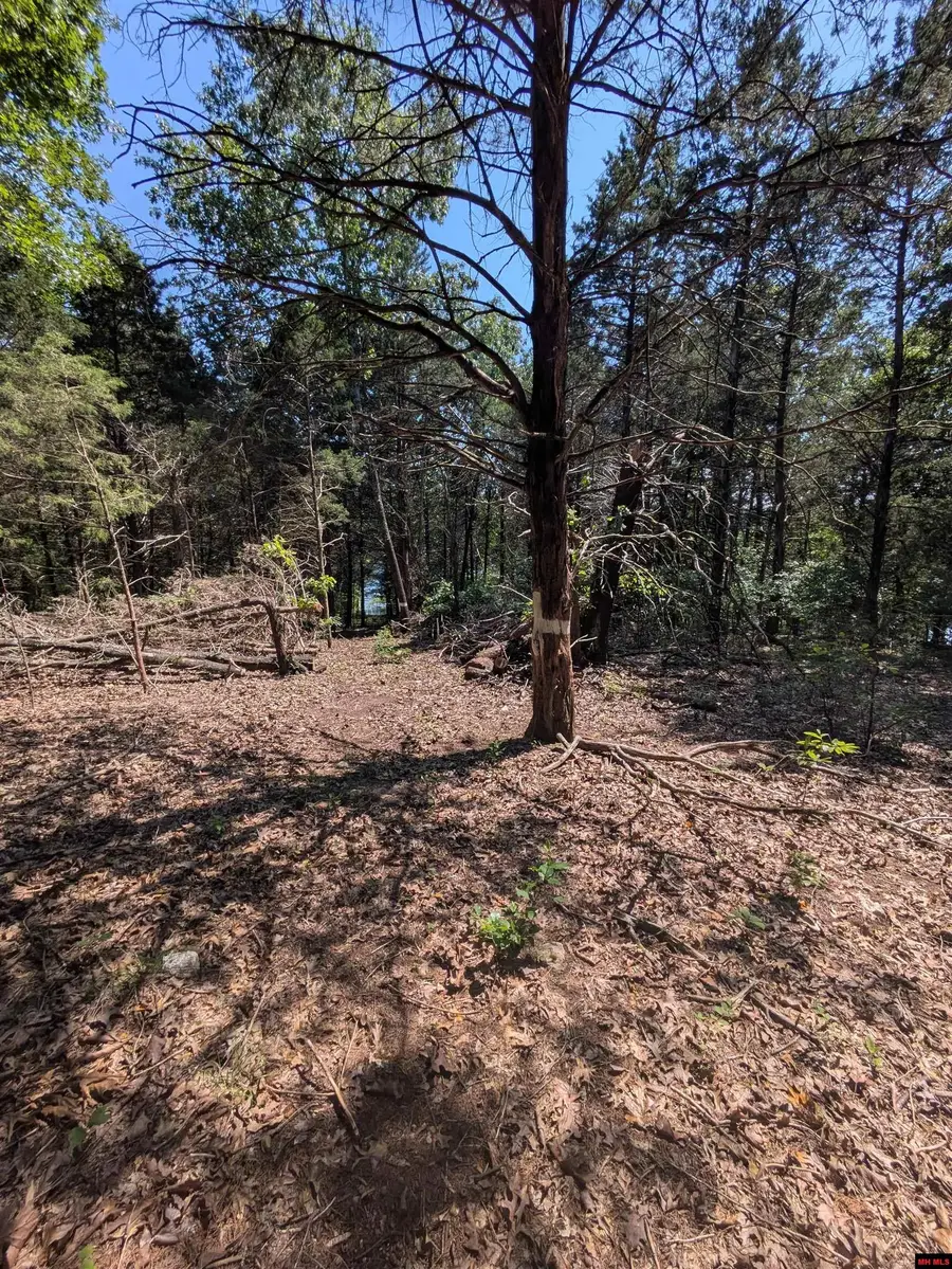 535 CR 144, Oakland, AR 72661 - Image #2