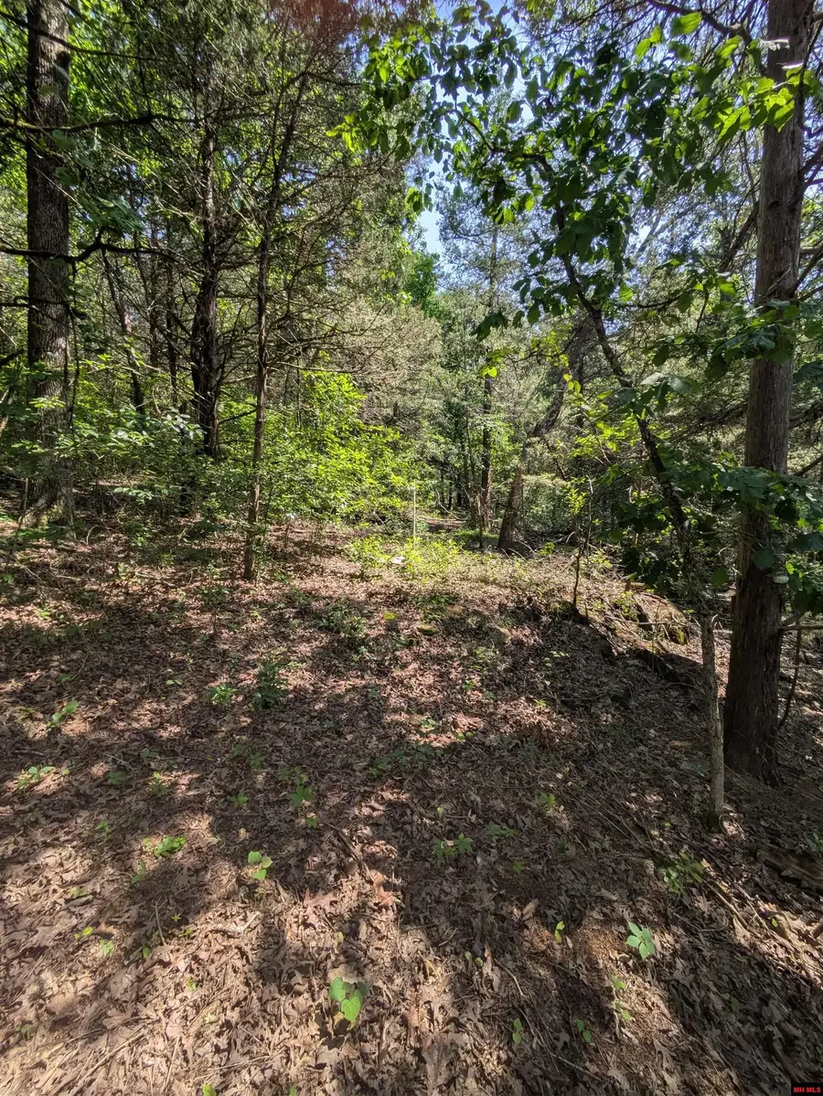 535 CR 144, Oakland, AR 72661 - Image #3