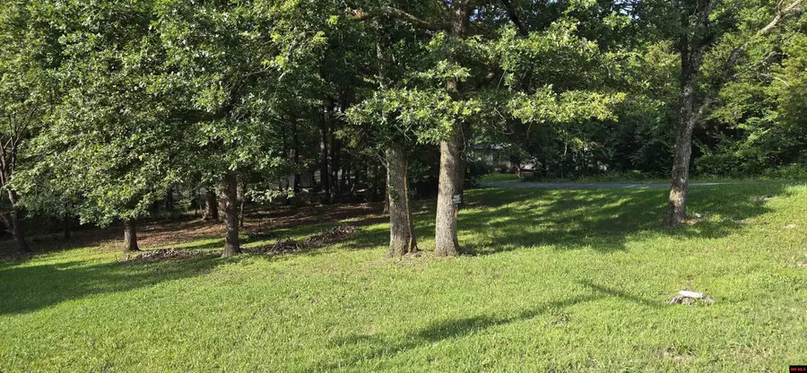 760-12311-000 BETTY JEAN LANE, Bull Shoals, AR 72619 - Image #2