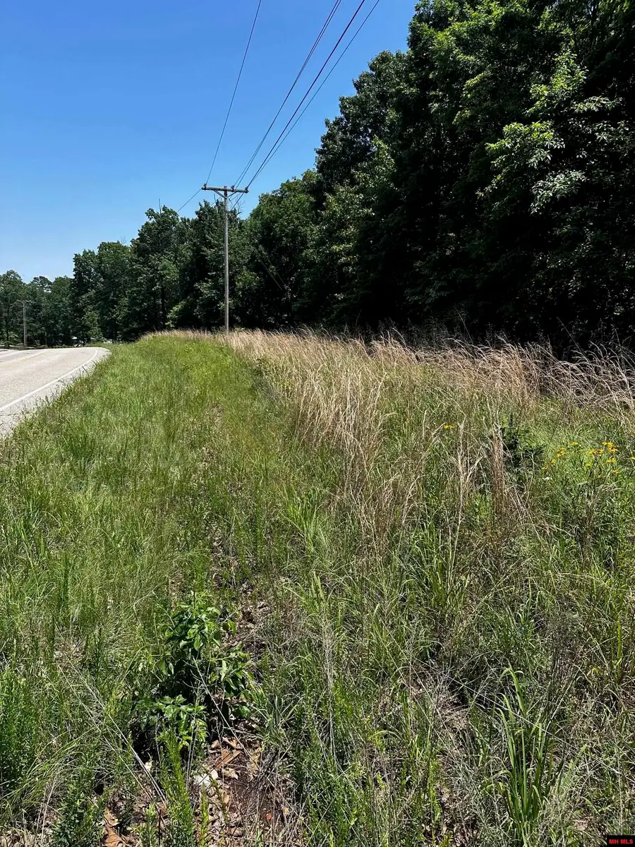 001-00820-002 CR 91, Elizabeth, AR 72531 - Image #2