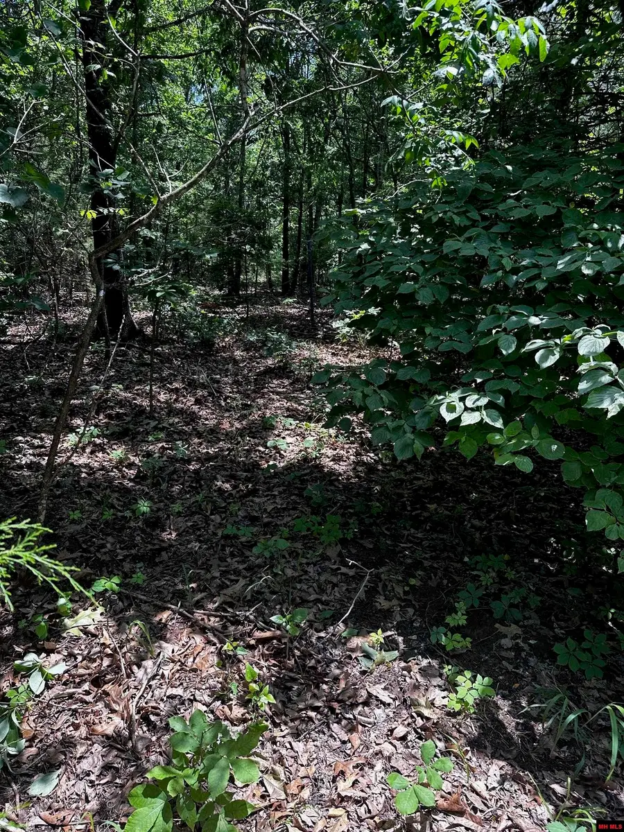 001-00820-002 CR 91, Elizabeth, AR 72531 - Image #3