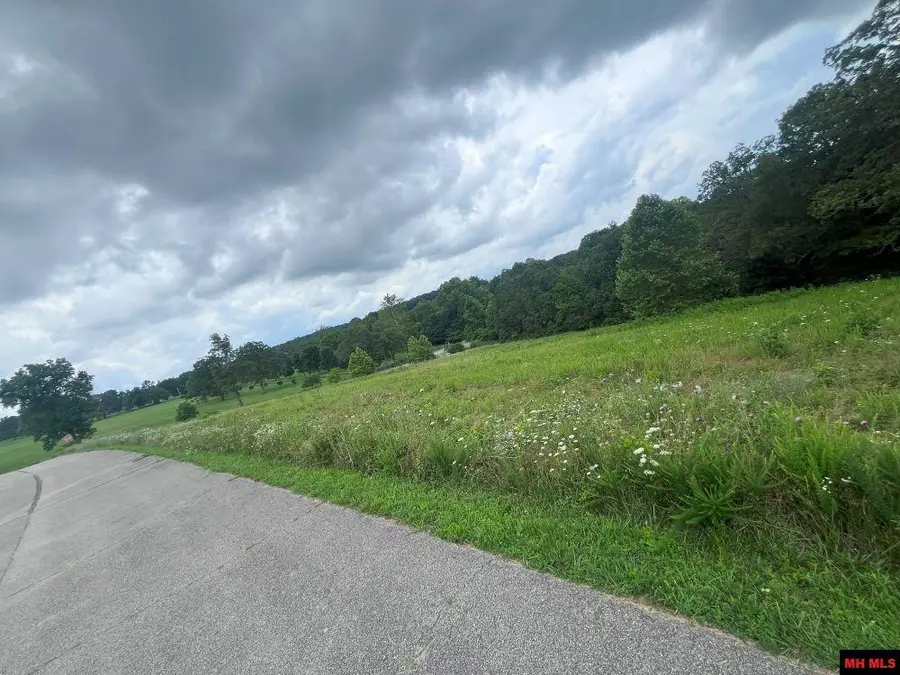 Lot 15 SILVERTHORNE CIRCLE, Mountain Home, AR 72653 - Image #3