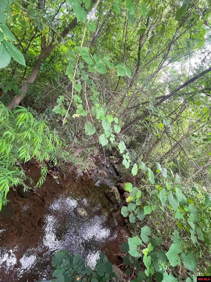 Lot 14 SILVERTHORNE CIRCLE, Mountain Home, AR 72653 - Image #2