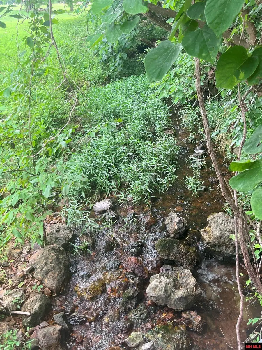 Lot 14 SILVERTHORNE CIRCLE, Mountain Home, AR 72653 - Image #3