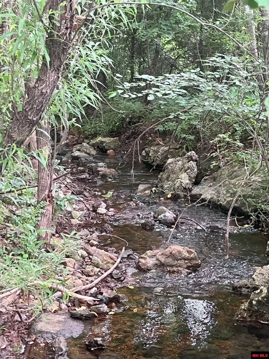 Lt 2, 5, 14, 15 SILVERTHORNE CIRCLE, Mountain Home, AR 72653 - Image #3