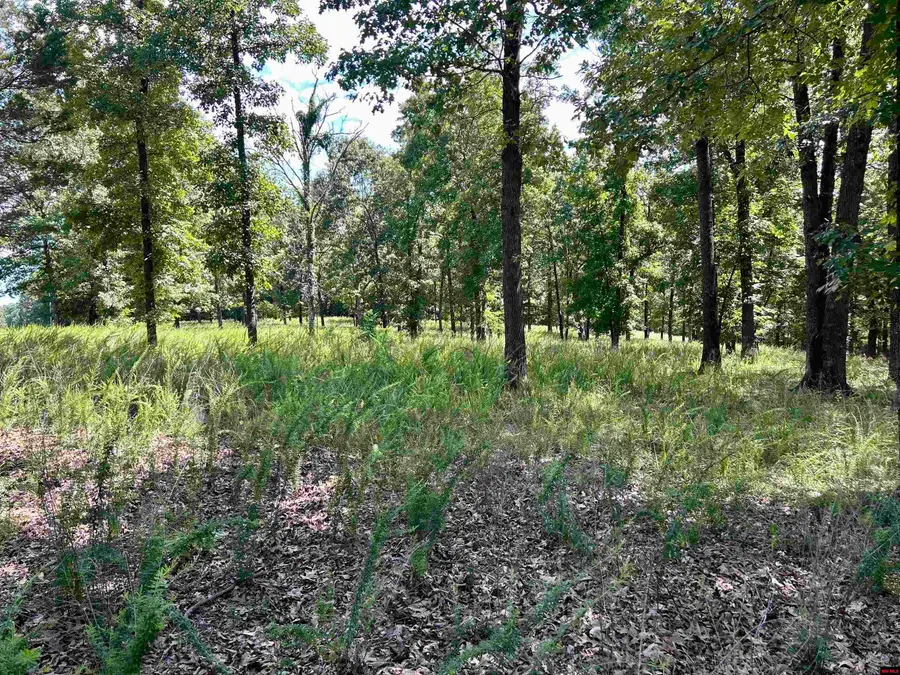 001-06802-000 MC 8010, Yellville, AR 72687 - Image #2