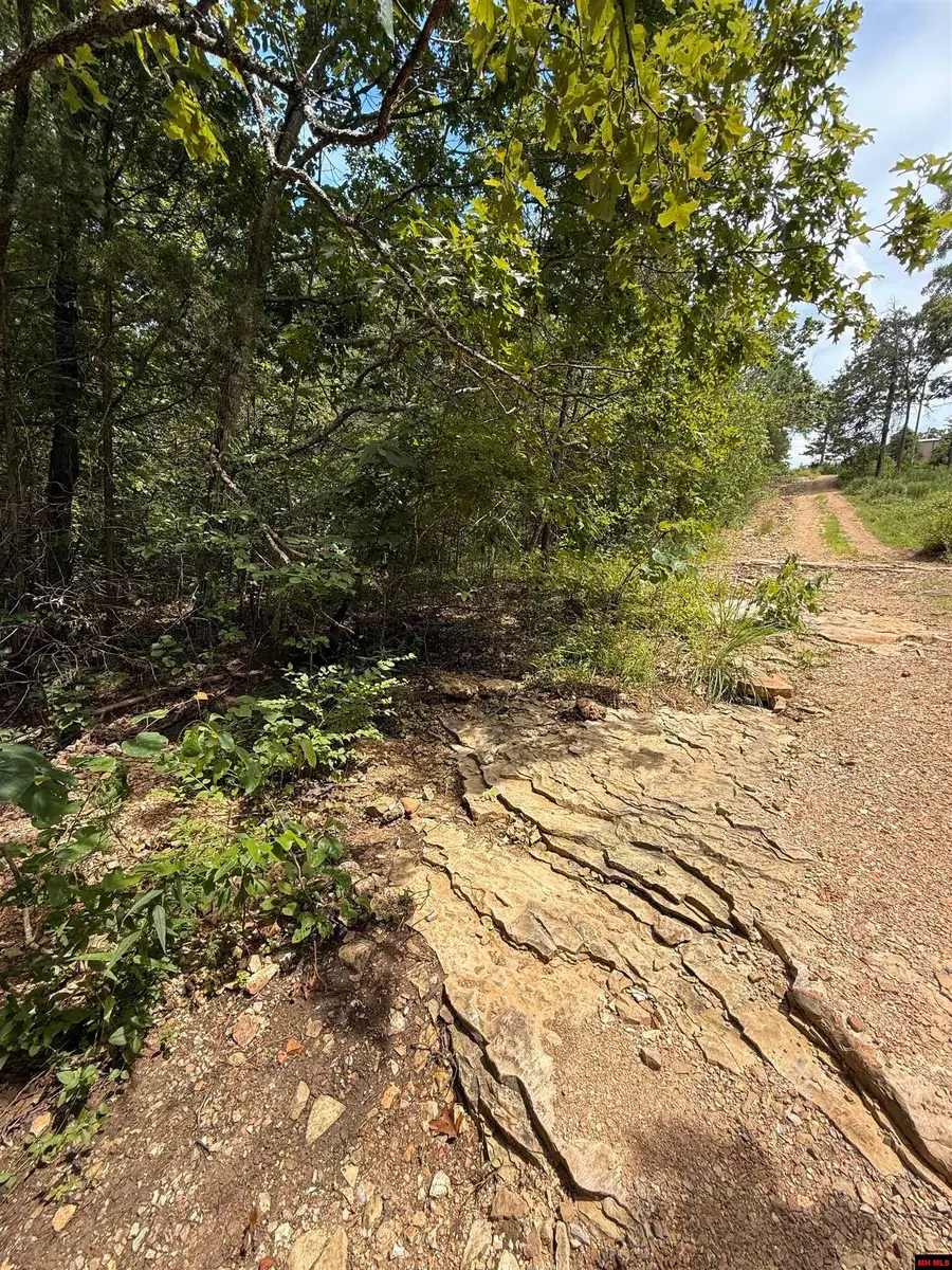 002-08487-033 MILLER DRIVE, Henderson, AR 72544 - Image #2